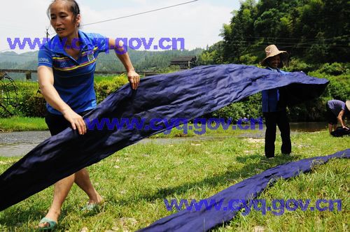 Dye Cloth