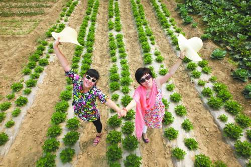 Weekday Professionals, Weekend Farmers