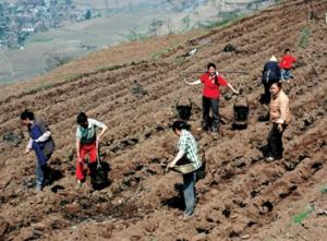 Rural Women in Landless Limbo