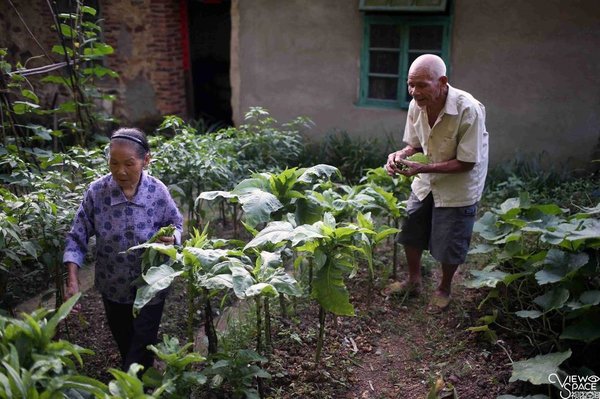 Centenarian Couple Married for Over 90 Yrs