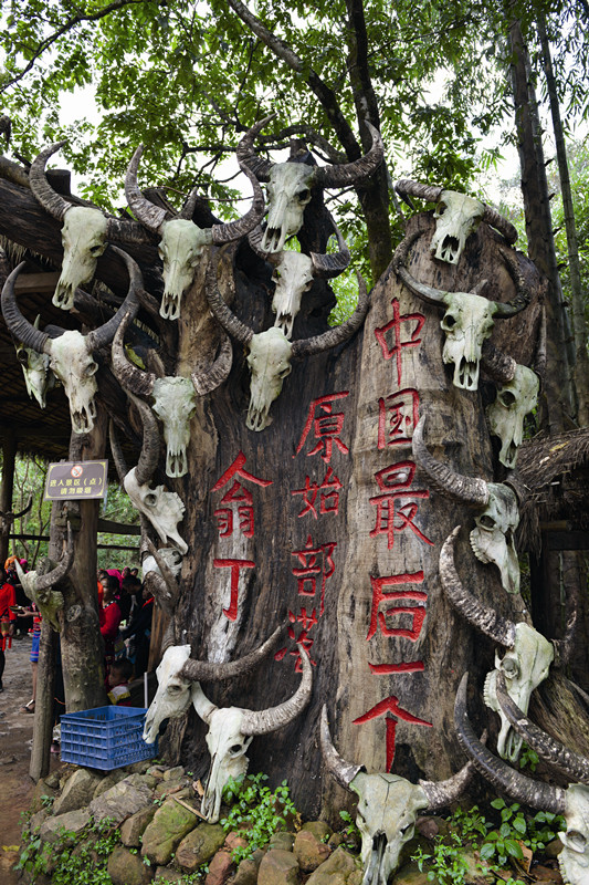 lincang singles What is the origin of tea where does this mysterious tree that now grows in over 50 countries around the world how was it discovered, and when man began to drink he leaves. lincang singles What is the origin of tea where does this mysterious tree that now grows in over 50 countries around the world how was it discovered, and when man began to drink he leaves.