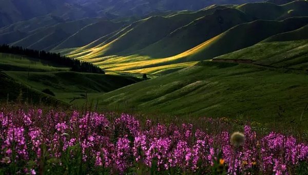 a glimpse of natural