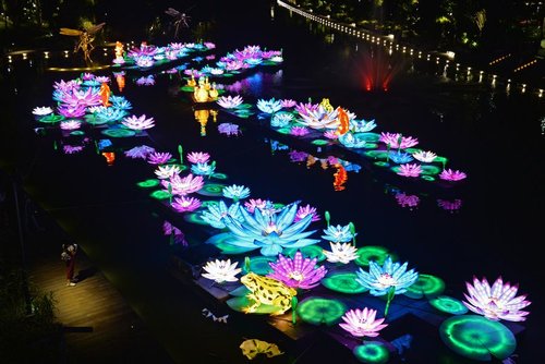 the mid autumn festival lights at singapores gardens by the bay on sept 19 2017 colorful lights illuminate the night scene photoxinhua - Garden By The Bay Mid Autumn Festival 2017 the mid autumn festival lights at singapores gardens by the bay on sept 19 2017 colorful lights illuminate the night scene photoxinhua - Garden By The Bay Mid Autumn Festival 2017