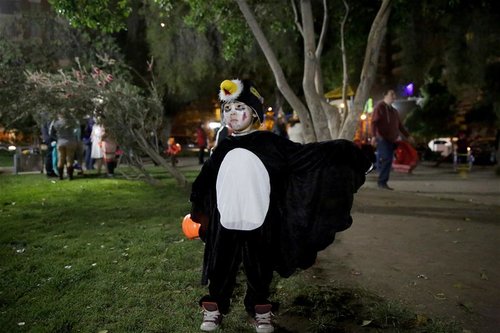 Halloween Day Celebrated Across the World All China Womens Federation Halloween Day Celebrated Across the World All China Womens Federation