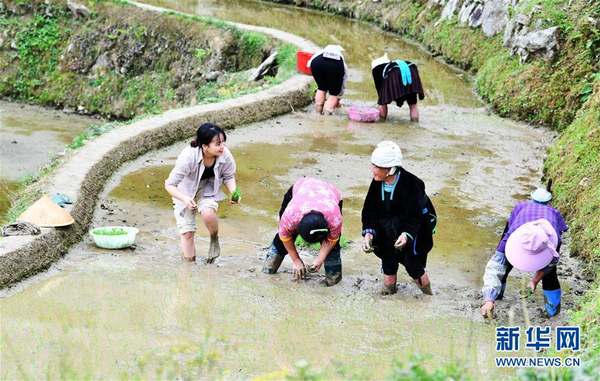 Post-90s Woman Devotes to Grid-Based Poverty Alleviation Work in SW China's Guizhou