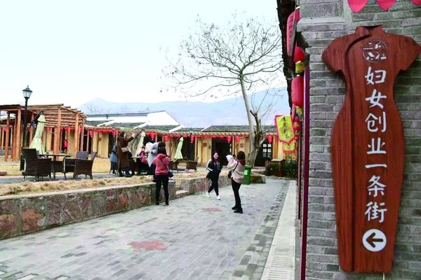 'Nourishing a Flower of Prosperity' —  Women Entrepreneurs Contribute to Rural Construction in San Gua Society