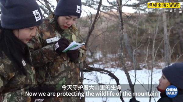 China's First Women Patrol Team in Tiger and Leopard National Park