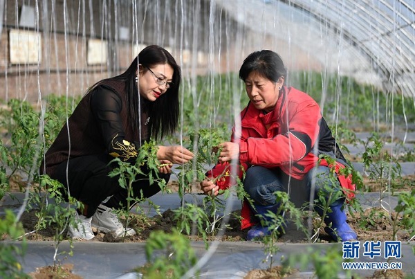 Rural Entrepreneur Helps Farmers Increase Vegetable, Flower Production, Sales