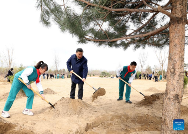 Xi Focus: Xi Plants Trees for 10th Year as Top Leader