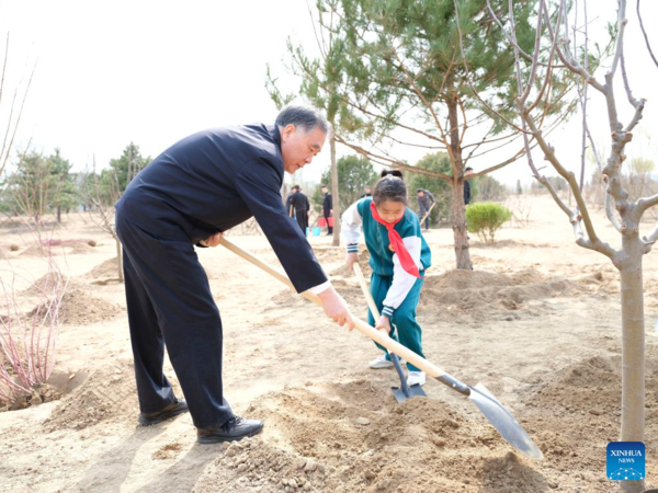 Xi Focus: Xi Plants Trees for 10th Year as Top Leader