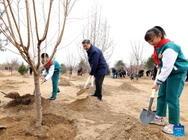 Xi Jinping Participates in Beijing's Tree Planting Activity