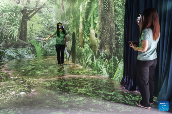 Culture Exhibition Featuring Tropical Rainforest Held at Boao Forum for Asia