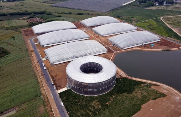 GLOBALink | Agricultural Tech Park in East China's Anhui Grows Plants with Aeroponics