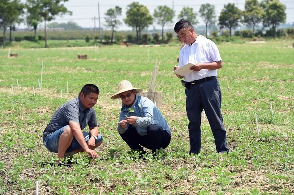 Xi Story: Xi's Letter Inspires Farmers to Contribute to Food Security