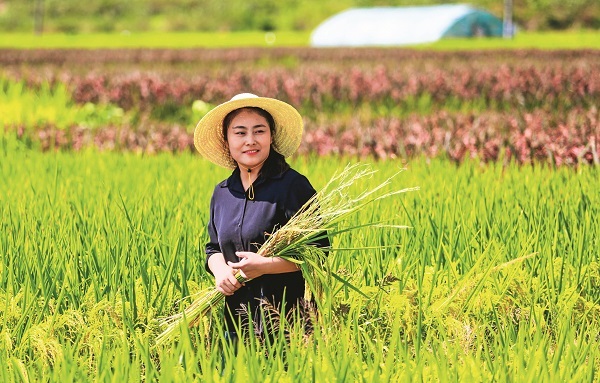 Advancing Rural Development Through Modern Agriculture