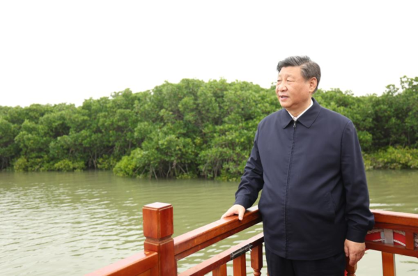 Xi Inspects South China's Guangdong Province