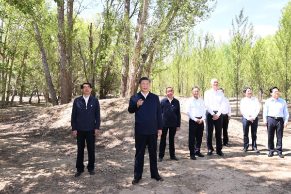 Xinhua Headlines-Xi Focus: Xi Urges Sustained Efforts to Curb Desertification