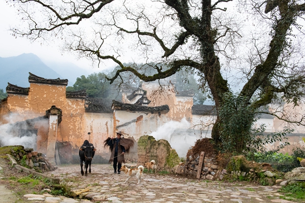 Getting Lost Amongst Ancient Dwellings, Scenery in Songyang