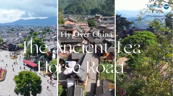 Glimpses of the Reviving Ancient Tea Horse Road in Yunnan