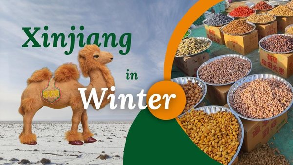 This Is Xinjiang in Winter