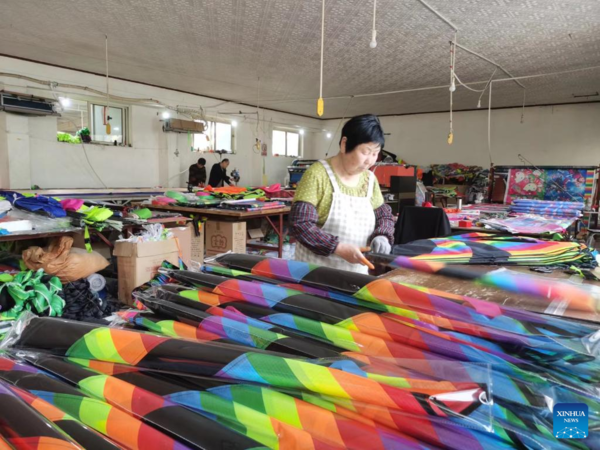 Kite Industry Flying High in East China Village