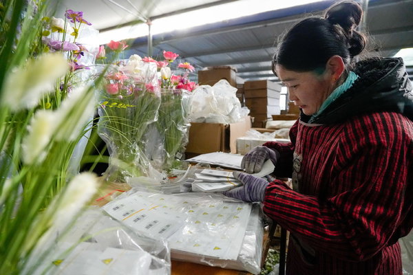 Silk Flowers Help Local Women Gain Employment in Hebei