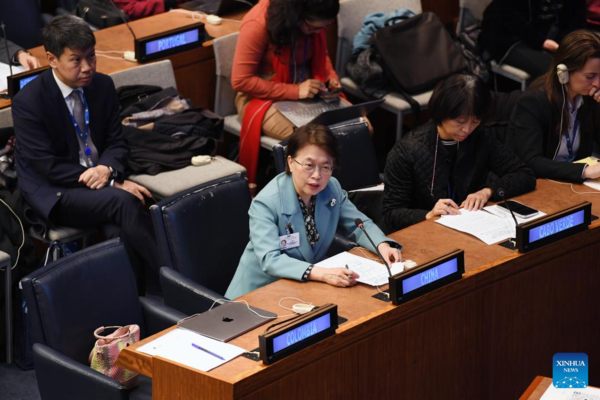 Chinese Delegation Advocates World Without Gender Discrimination at UN CSW68