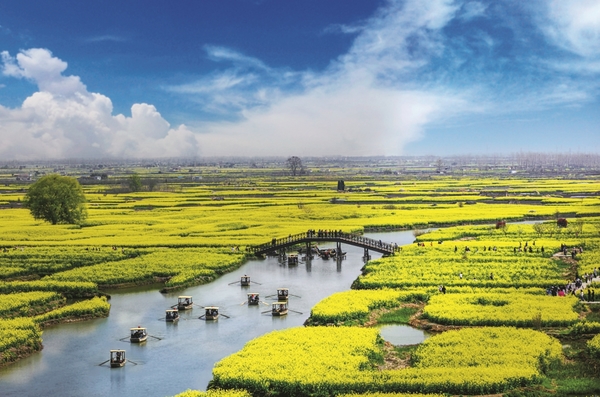 Xinghua Mecca for Rapeseed Flowers