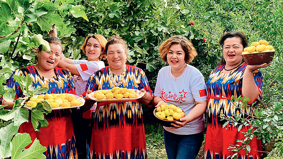 6. 《庆丰收》董艳芳.jpg