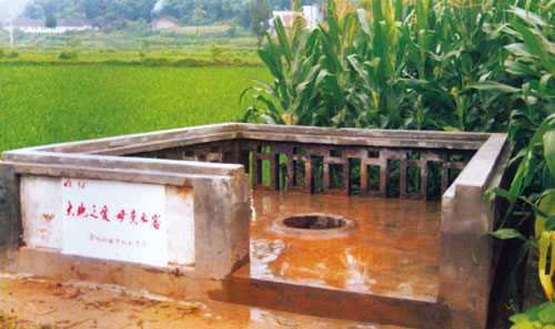 建窖后的生活8