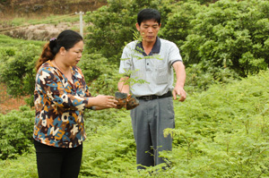 Chinese Women in Environmental Protection