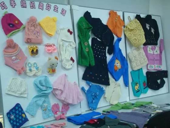 ACWF President Calls for Women's Role in Poverty Relief in N China Tour