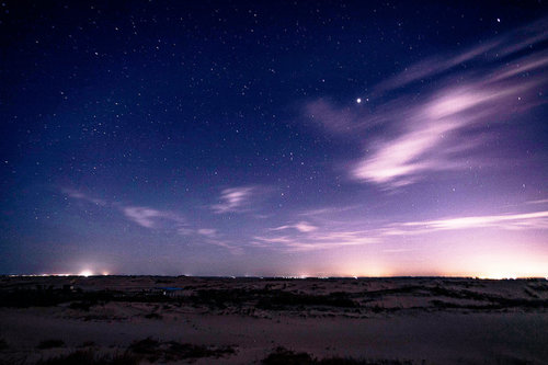 shahu lake paradise for both humans, birds