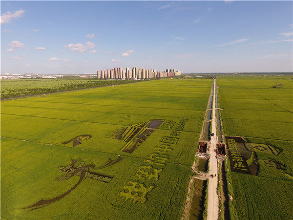 Farmers Celebrate Harvest and 70 Year Anniversary