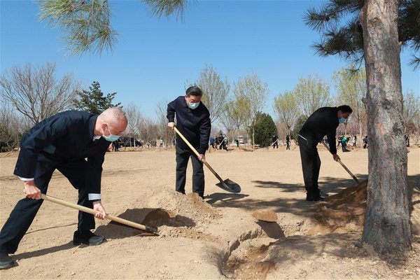 Xi Focus: Xi plants trees in Beijing, urging respect for nature