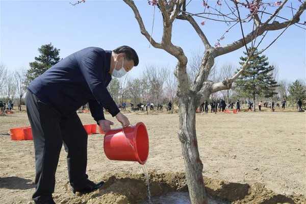 Xi Focus: Xi plants trees in Beijing, urging respect for nature