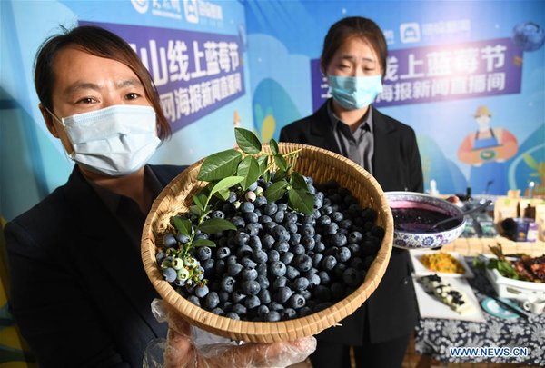 CHINA-SHANDONG-QINGDAO-ONLINE PROMOTION-BLUEBERRY (CN)