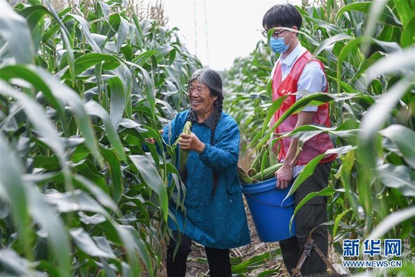 Volunteers Boost Farmers' Income in E China's Zhejiang