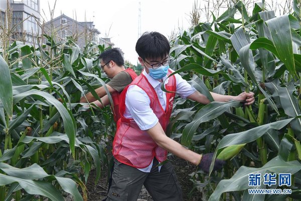 Volunteers Boost Farmers' Income in E China's Zhejiang