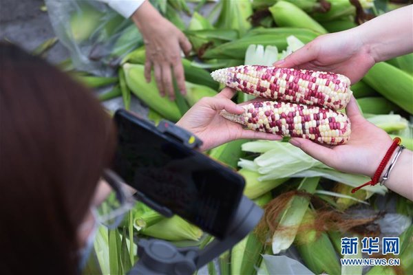 Volunteers Boost Farmers' Income in E China's Zhejiang