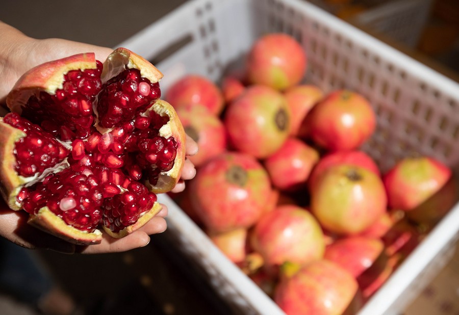 Sichuan Sisters Sell Local Agricultural Products on E-Commerce Platform