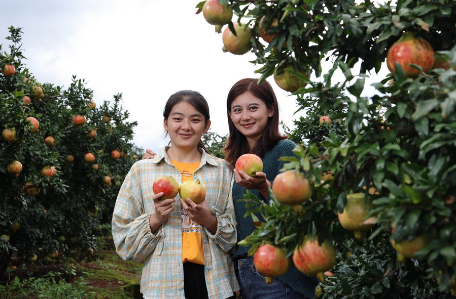 Sichuan Sisters Sell Local Agricultural Products on E-Commerce Platform