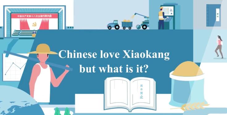 Chinese Love Xiaokang, But What Is It?