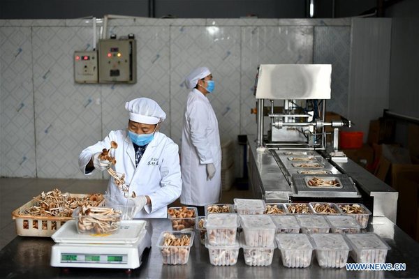 CHINA-JIANGXI-GANZHOU-AGRICULTURE-MUSHROOM (CN)