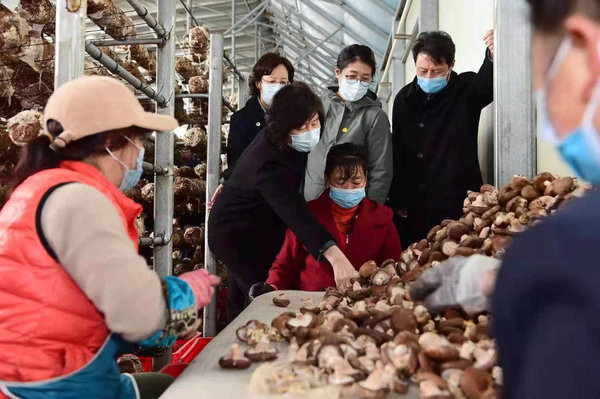 Philippines blames China for loss of giant clams in disputed shoal and urges environmental inquiry