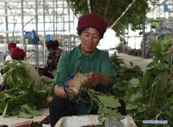 China's Sichuan Lifts All Counties out of Poverty