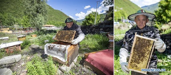 Minority Ethnic Groups of Sichuan Make Great Progress on Poverty Alleviation