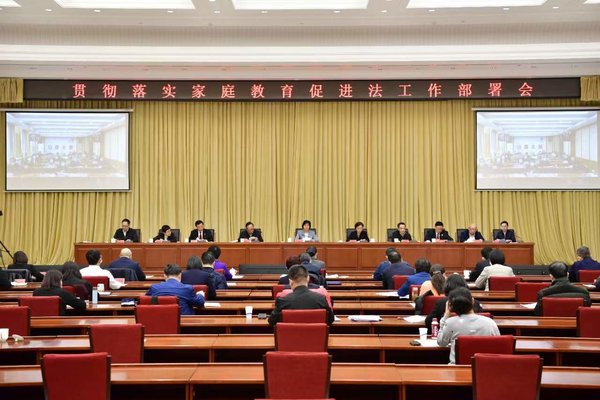Shen Yueyue Calls for Thorough Implementation of the Law on Family Education Promotion