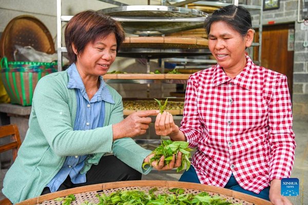 Tea Technician Helps Farmers Increase Income
