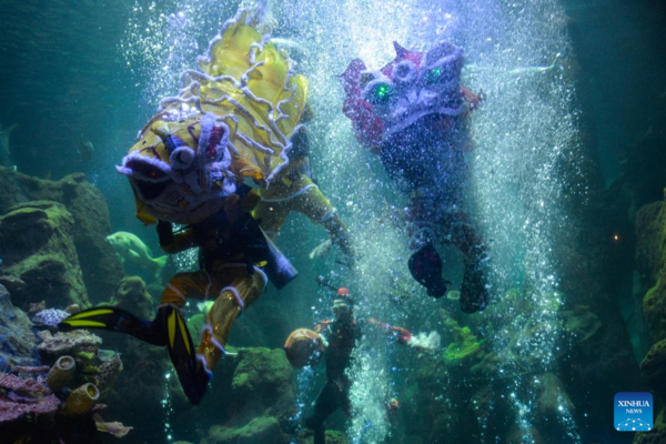 Divers Perform Lion Dance Under Water to Celebrate Chinese New Year in Jakarta, Indonesia